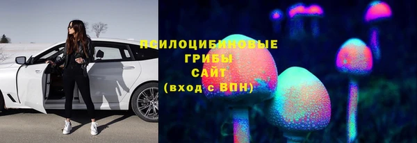 apvp Балахна
