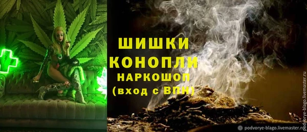 apvp Балахна